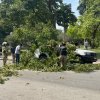 Arboles caídos, fuertes vientos